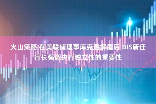 火山策略 在美联储理事库克遭解雇后 BIS新任行长强调央行独立性的重要性