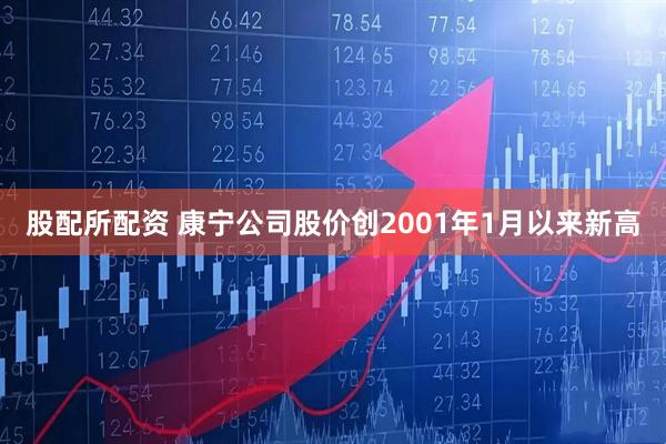 股配所配资 康宁公司股价创2001年1月以来新高