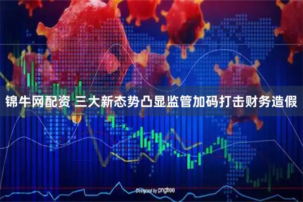锦牛网配资 三大新态势凸显监管加码打击财务造假