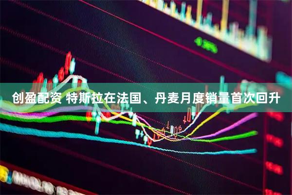 创盈配资 特斯拉在法国、丹麦月度销量首次回升
