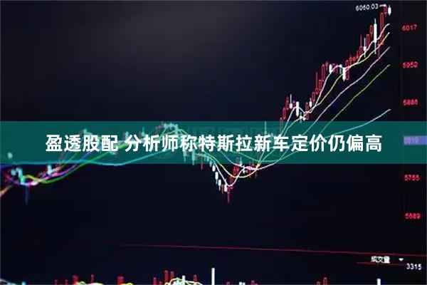 盈透股配 分析师称特斯拉新车定价仍偏高