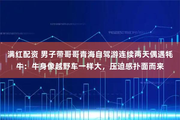 满红配资 男子带哥哥青海自驾游连续两天偶遇牦牛：牛身像越野车一样大，压迫感扑面而来
