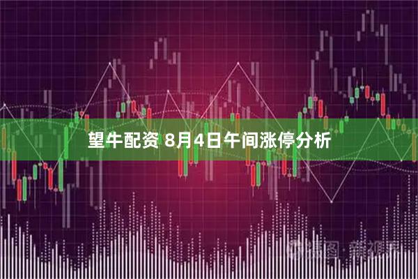 望牛配资 8月4日午间涨停分析